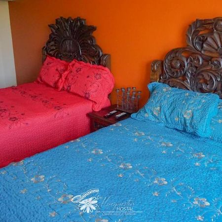 Las Margaritas Hostal En Cocula Кокула Экстерьер фото